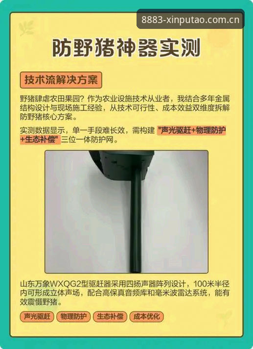 技术流实测：新葡萄8883特色功能与官网入口使用心得